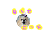525775505