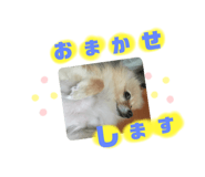 525775506