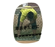525777030