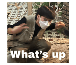 525814380