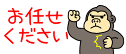 525833084