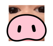 525833796