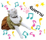 525839985
