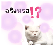 525839996