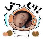 525855980