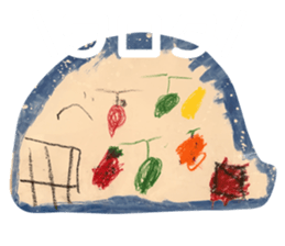 525857813