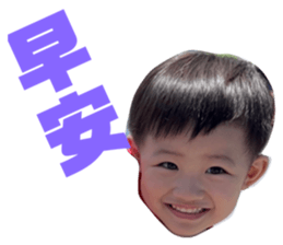 525867385