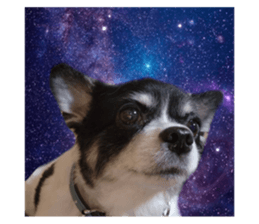 525900222