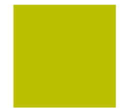 525903707