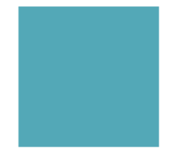 525906317