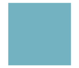 525906321