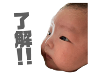 525935902