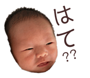 525935905