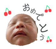 525935908