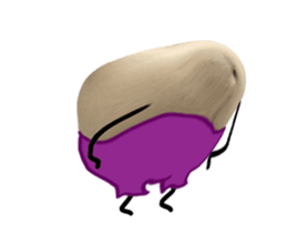 525939020