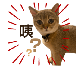 525943376
