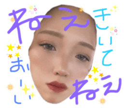 526041981