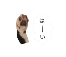 526047698