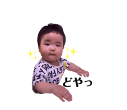 526048686