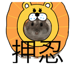 526054078