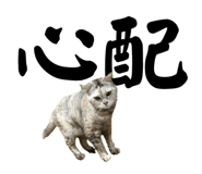 526068269