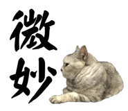 526068275