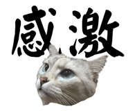 526068276