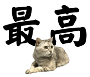 526068277