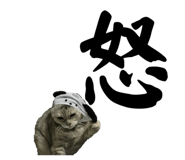 526068282