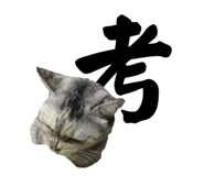 526068286