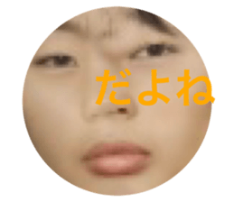 526073780