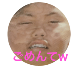 526073795