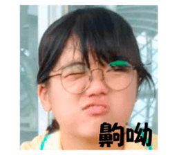 526081865