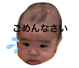 526095903