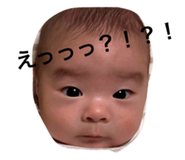 526095904