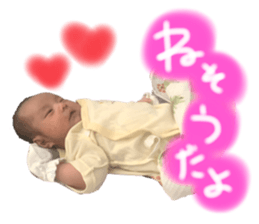 526154850
