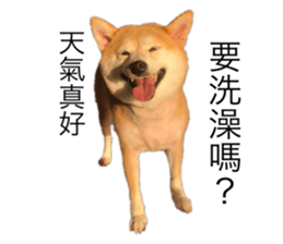 526155839
