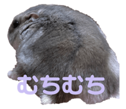 526189126