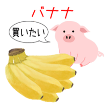 526248125