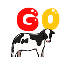 526256608