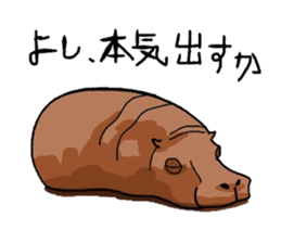 5262774