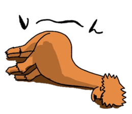5262776