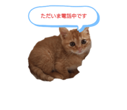 526277774
