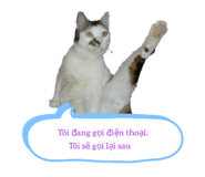 526277775