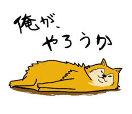 5262786