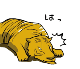 5262788