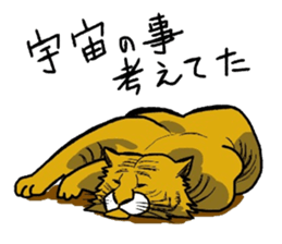 5262789