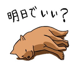 5262800