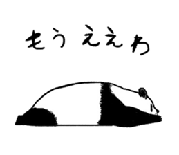 5262810