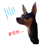 526282661